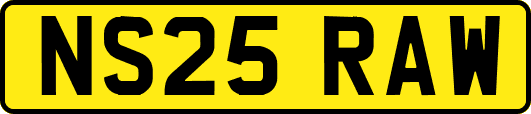 NS25RAW