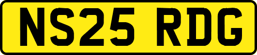 NS25RDG