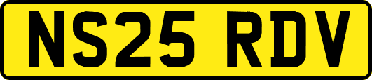 NS25RDV