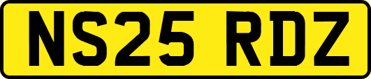 NS25RDZ