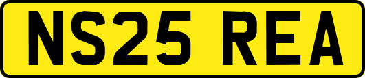 NS25REA