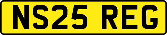 NS25REG