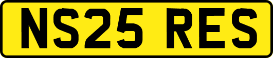 NS25RES