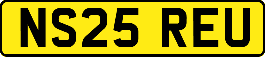 NS25REU