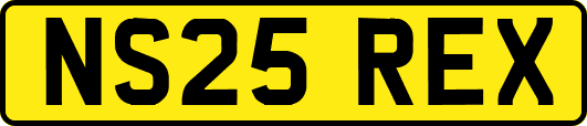 NS25REX