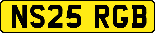 NS25RGB