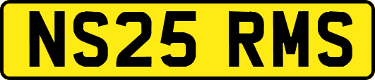 NS25RMS