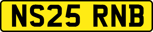 NS25RNB