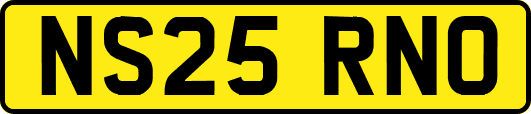 NS25RNO