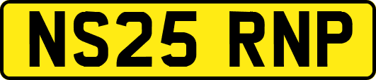 NS25RNP