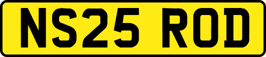 NS25ROD