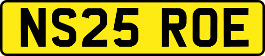 NS25ROE