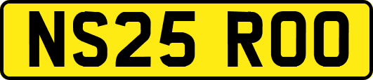 NS25ROO