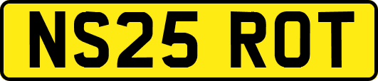 NS25ROT