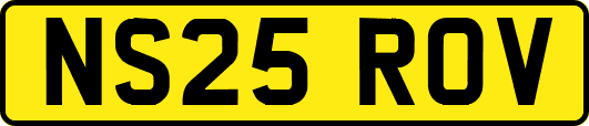 NS25ROV
