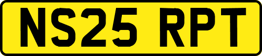 NS25RPT