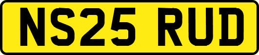 NS25RUD