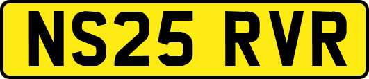 NS25RVR