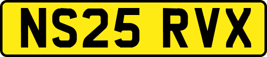 NS25RVX