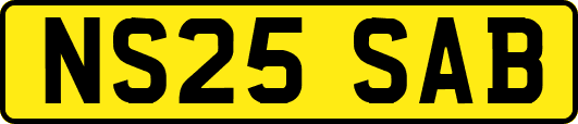NS25SAB