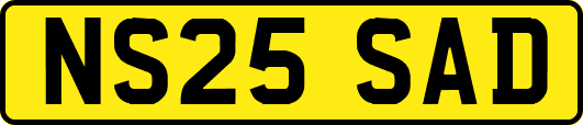 NS25SAD