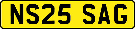 NS25SAG