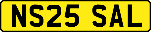 NS25SAL