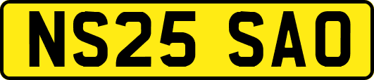 NS25SAO