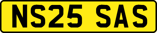 NS25SAS