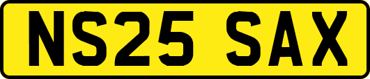NS25SAX