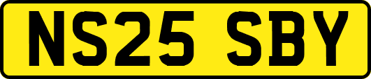 NS25SBY