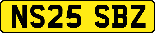 NS25SBZ