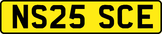 NS25SCE
