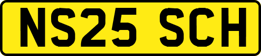 NS25SCH