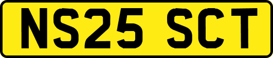 NS25SCT