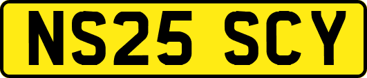NS25SCY
