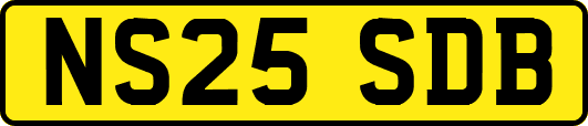 NS25SDB