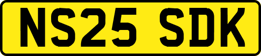 NS25SDK