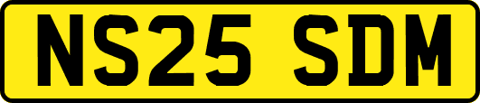 NS25SDM