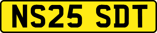 NS25SDT
