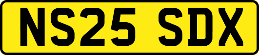 NS25SDX