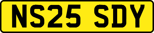 NS25SDY