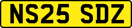 NS25SDZ