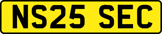 NS25SEC
