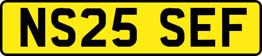 NS25SEF