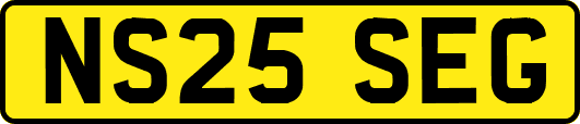 NS25SEG