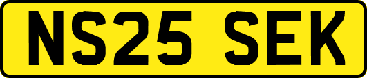 NS25SEK