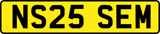 NS25SEM