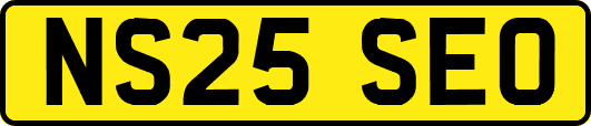 NS25SEO