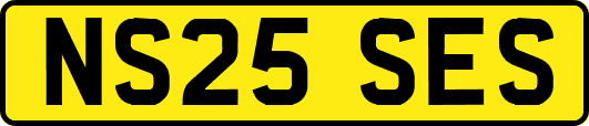 NS25SES